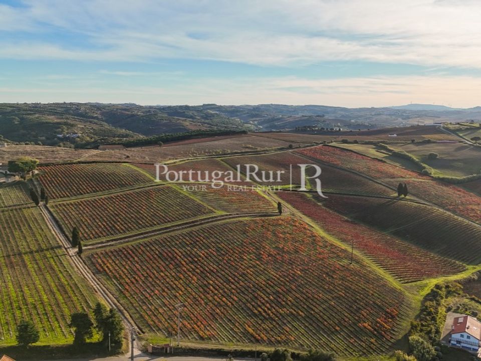 Farm i Alenquer, Lisbon - foto 2