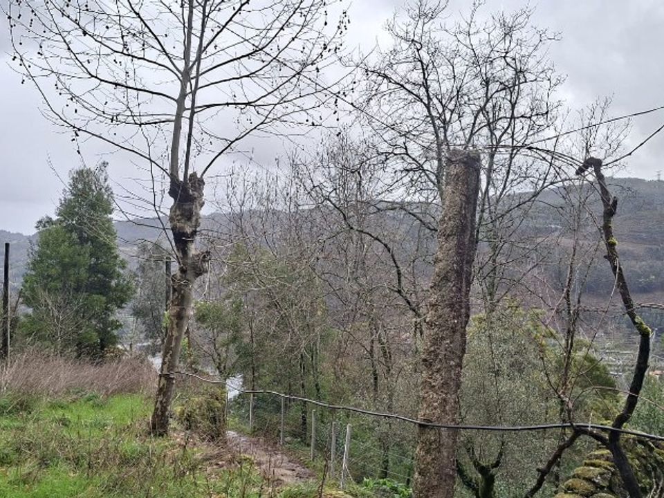 Helårsgrund i Terras de Bouro, Braga - foto 1