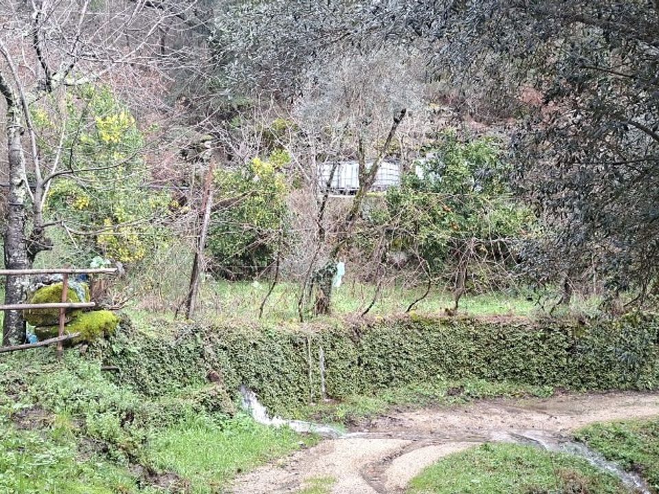 Helårsgrund i Terras de Bouro, Braga - foto 5