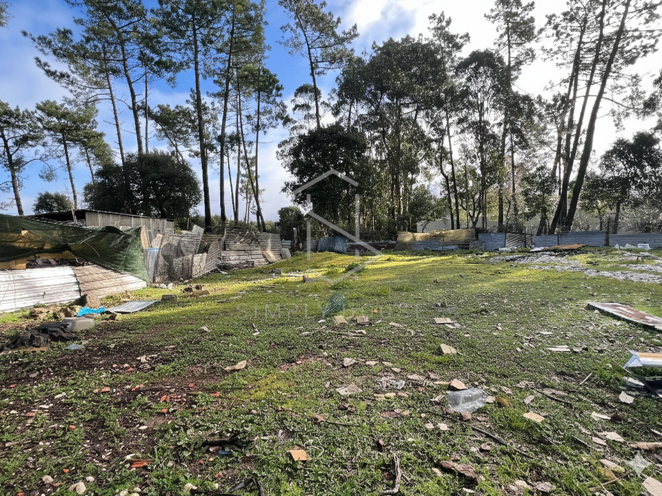 Terra a Turquel, Leiria - foto 3