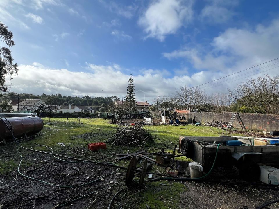 Terra a Turquel, Leiria - foto 4