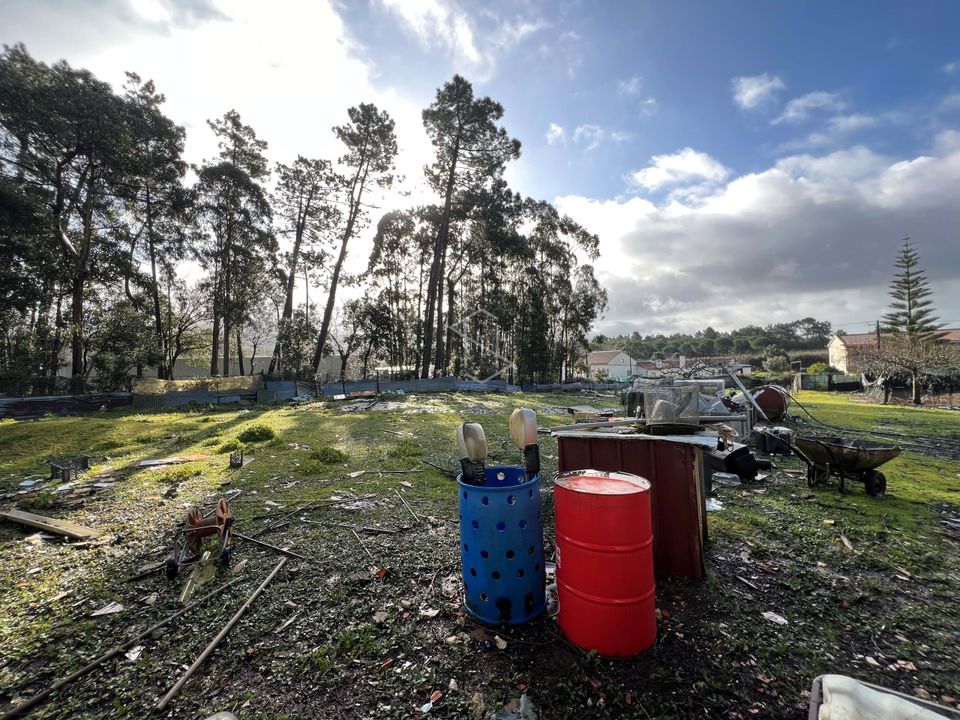 Terra a Turquel, Leiria - foto 5