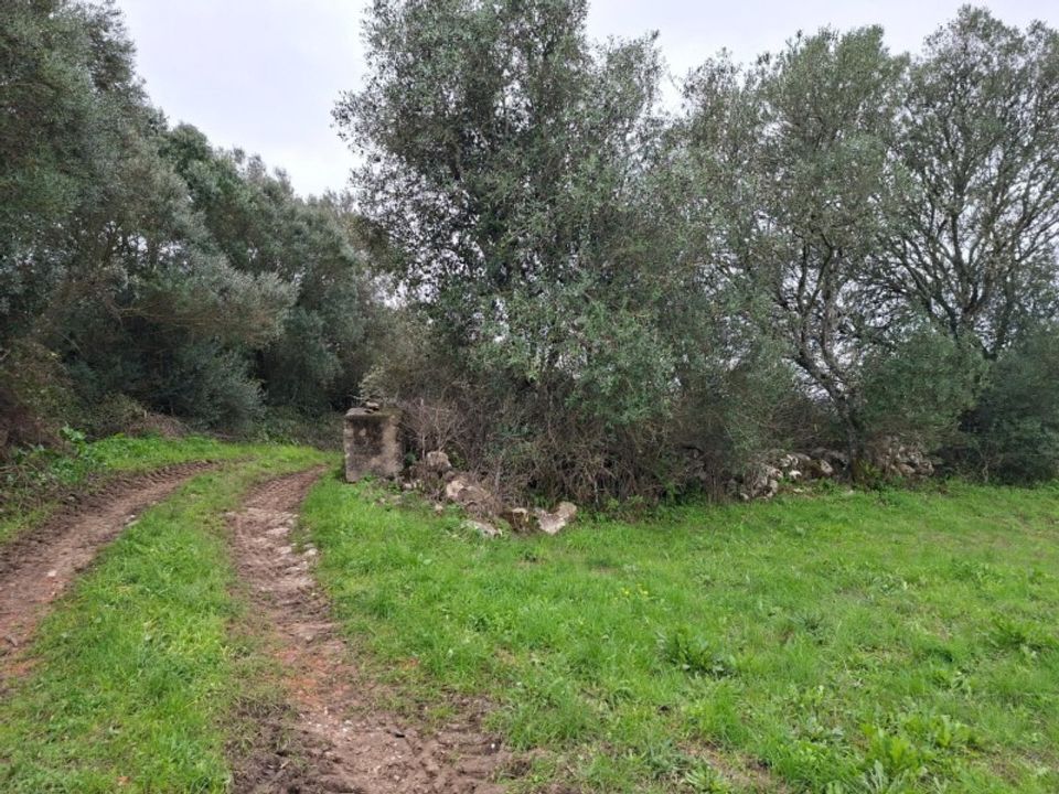 Helårsgrund i Sintra, Lisbon - foto 4