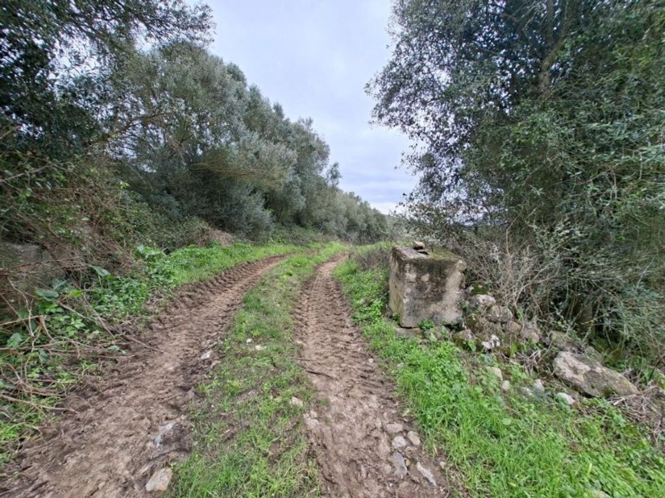 Helårsgrund i Sintra, Lisbon - foto 5