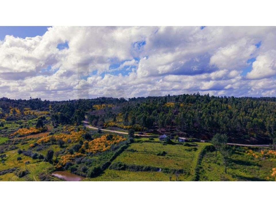 Terra a Gaviao, Portalegre - foto 5