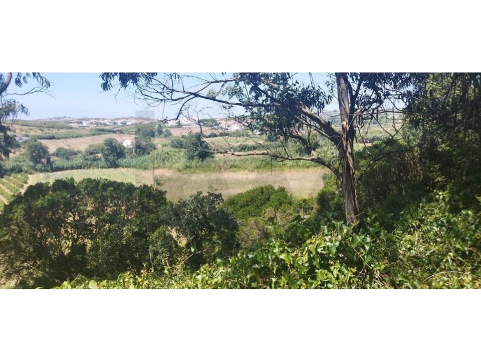 Helårsgrund i Mafra, Lisbon - foto 3