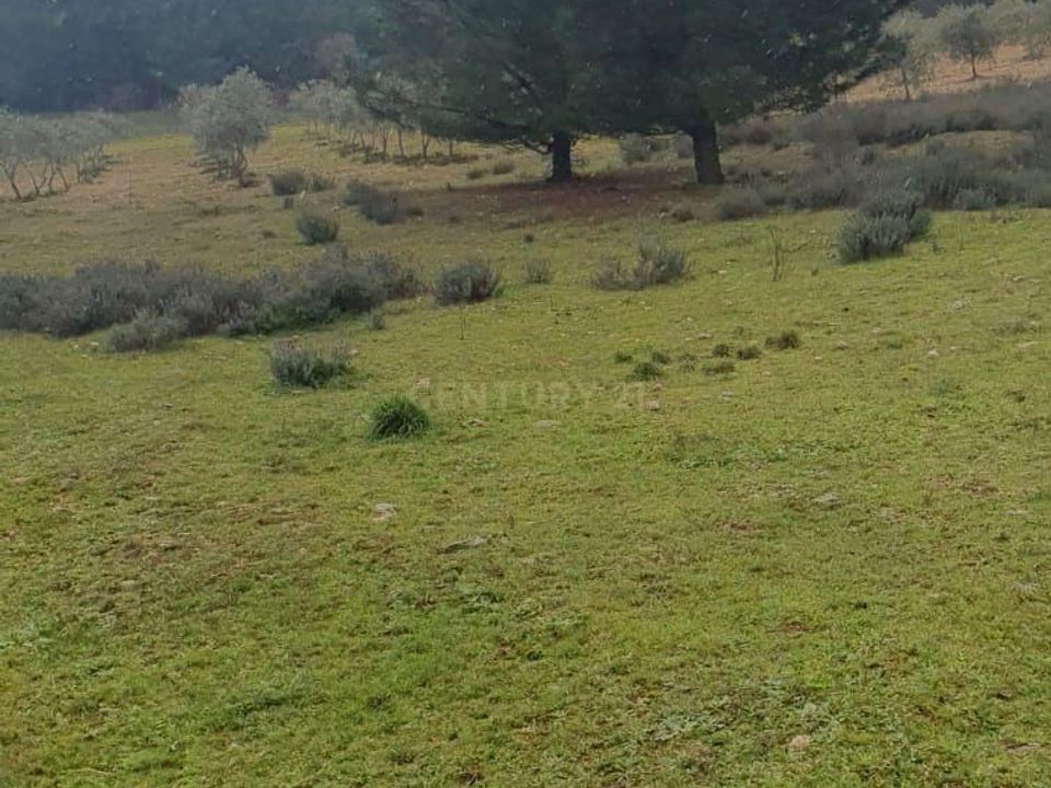 Helårsgrund i Braganca, Braganca - foto 2