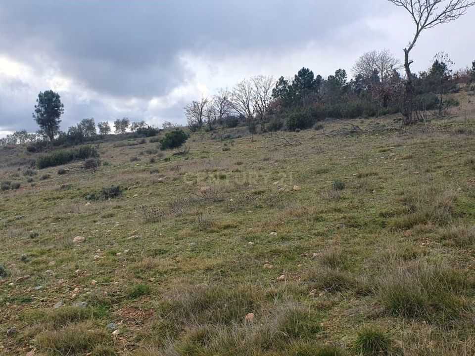 Helårsgrund i Braganca, Braganca - foto 5