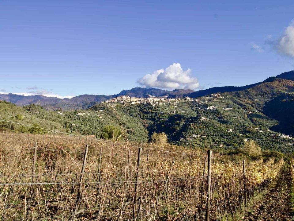 Helårsgrund i Perinaldo, Imperia - foto 1