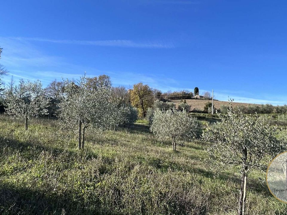 Helårsgrund i Monteroni d'Arbia, Siena - foto 2