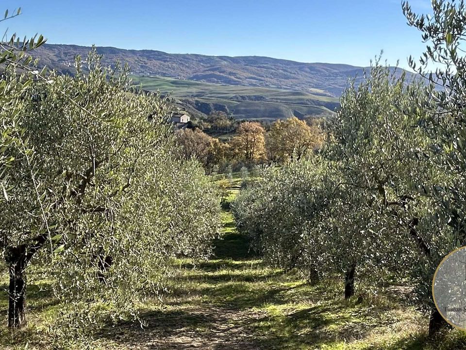 Helårsgrund i Monteroni d'Arbia, Siena - foto 4