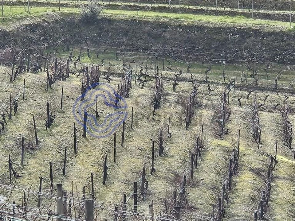 Tomt i Murca, Vila Real - foto 2