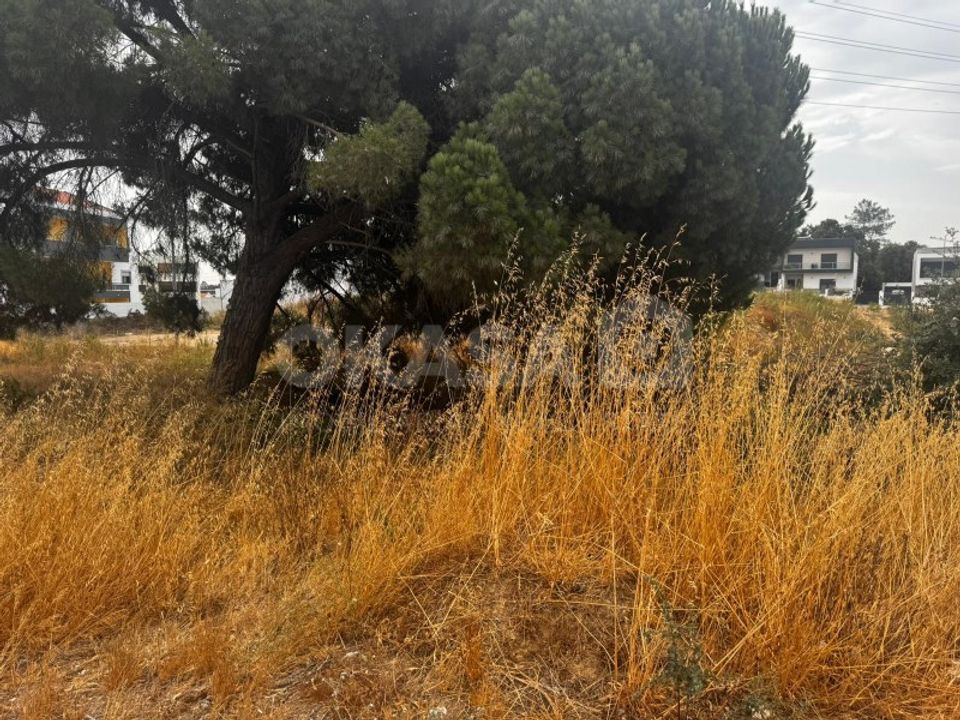 Helårsgrund i Setubal, Setubal - foto 3
