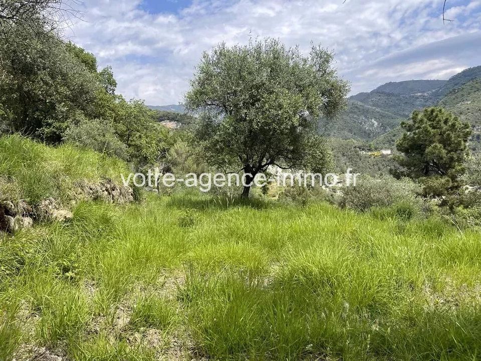 Helårsgrund i Coaraze, Alpes-Maritimes - foto 4