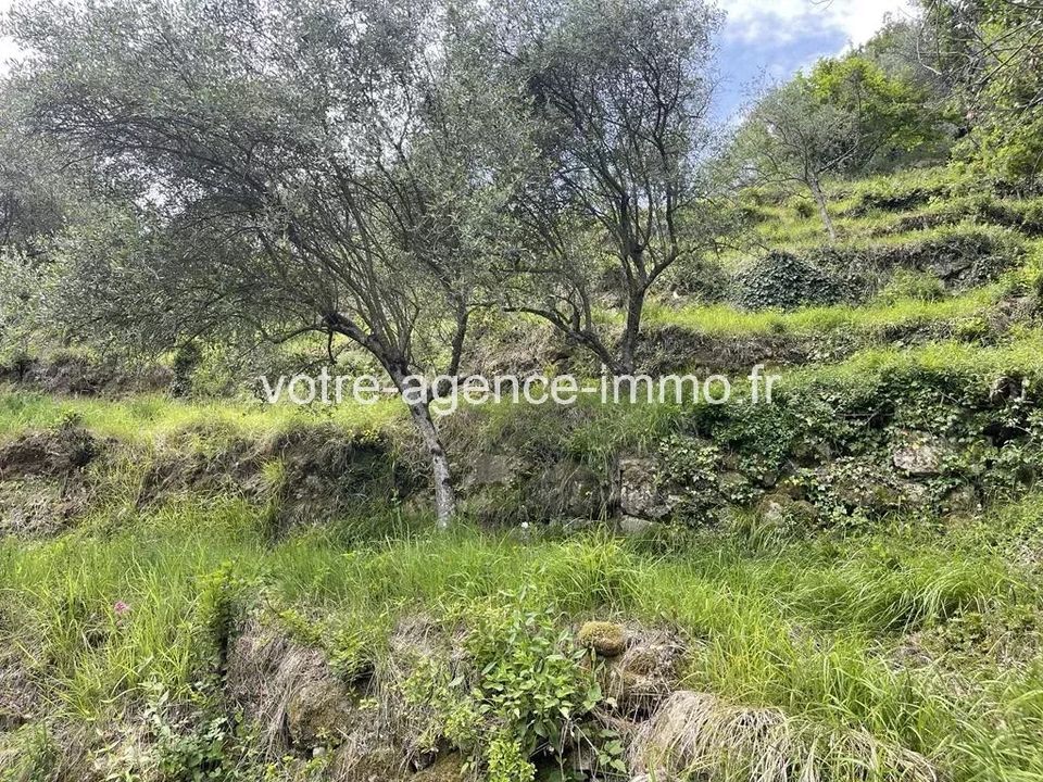 Helårsgrund i Coaraze, Alpes-Maritimes - foto 3
