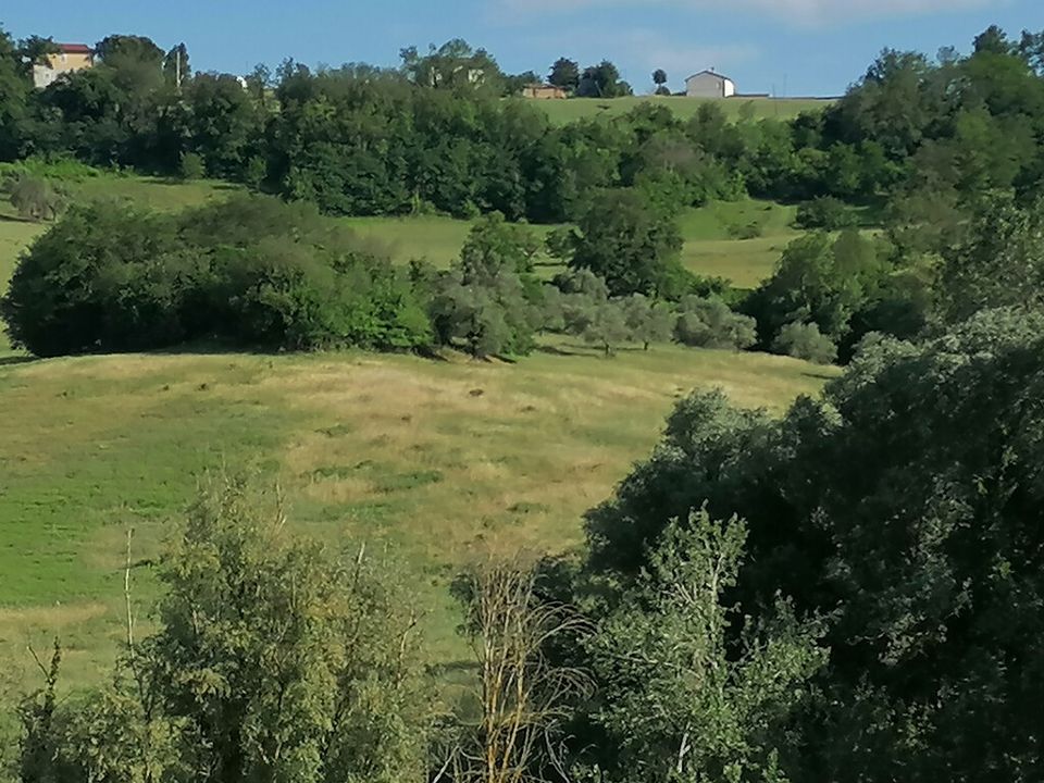 Helårsgrund i Corridonia, Macerata - foto 1
