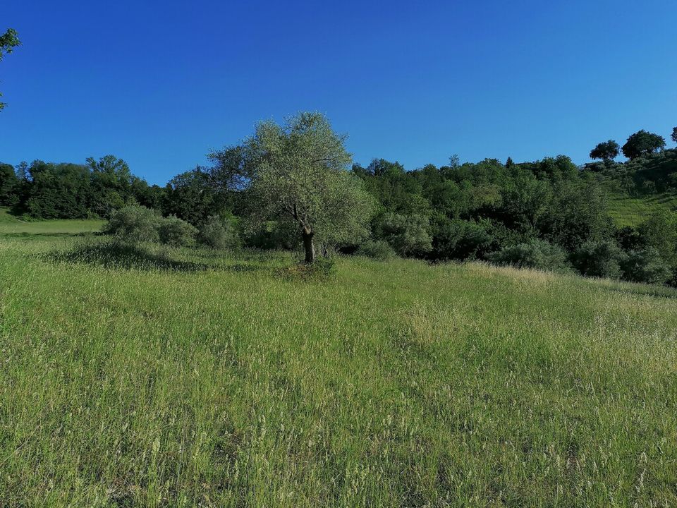 Helårsgrund i Corridonia, Macerata - foto 3