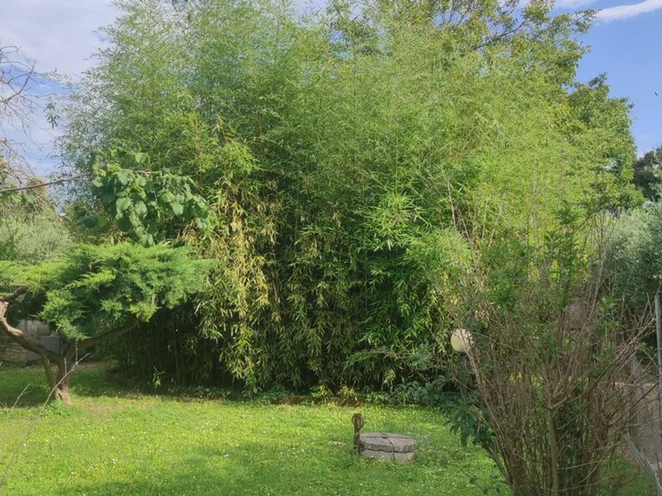 Boerderij in Civitanova Marche, Macerata - foto 4