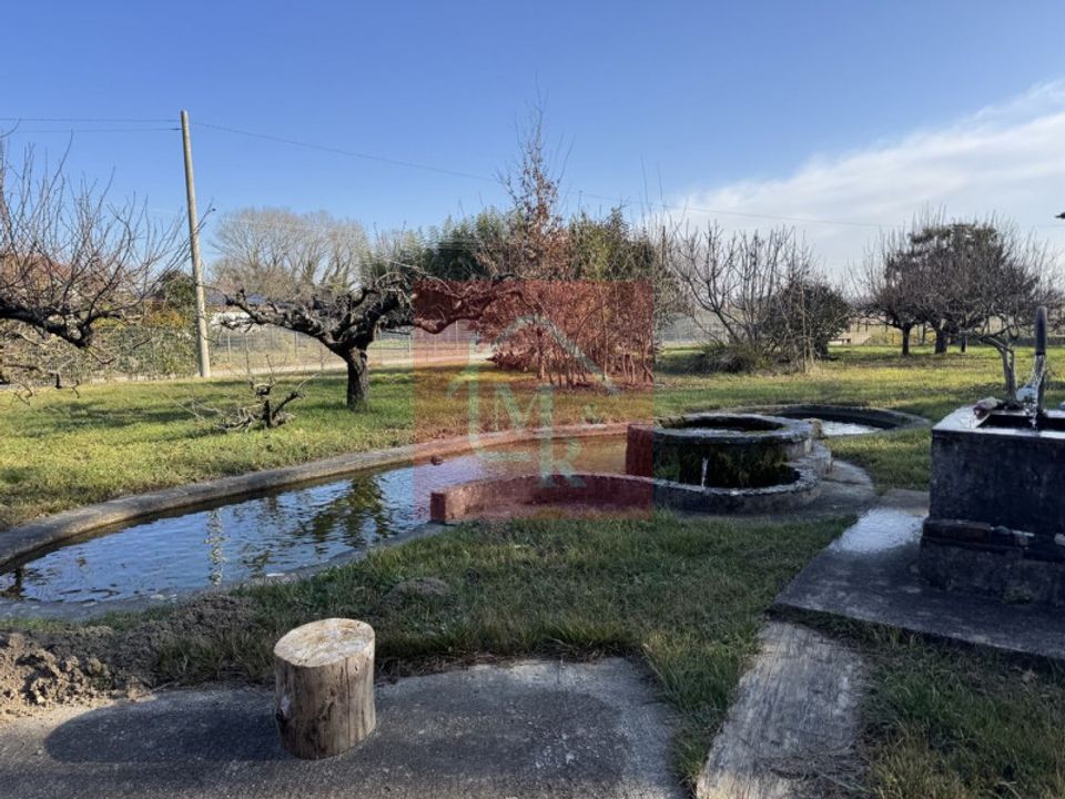 Villa i Fiumicello Villa Vicentina, Udine - foto 5
