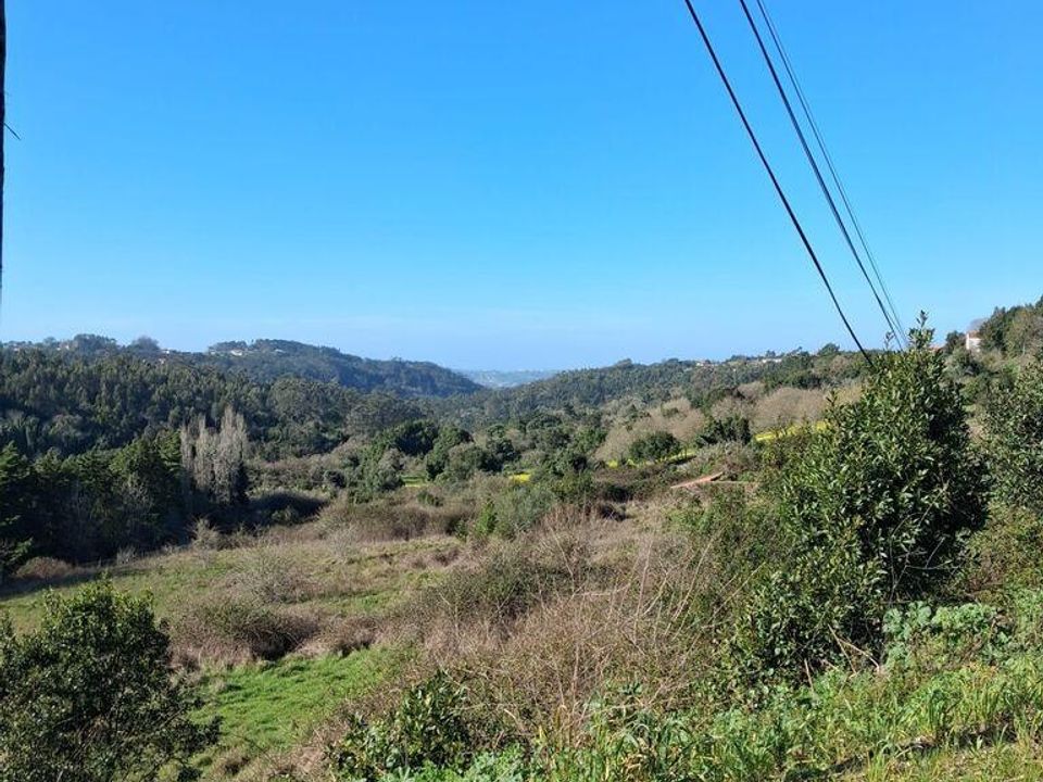 Helårsgrund i Alcobaca, Leiria - foto 4