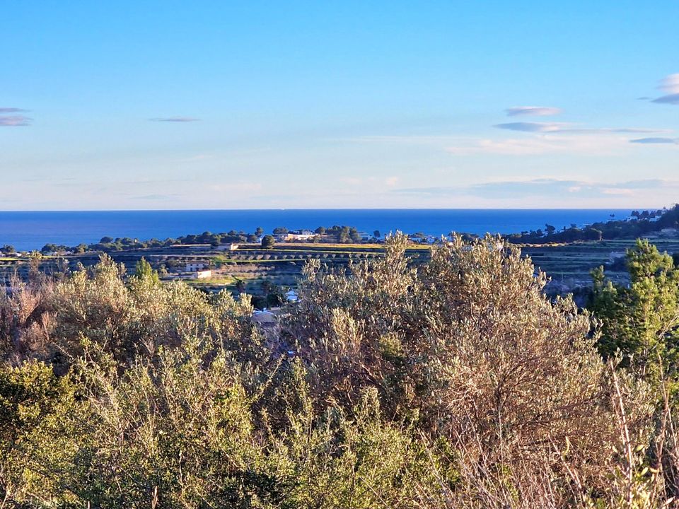 Helårsgrund i Teulada, Alicante - foto 3