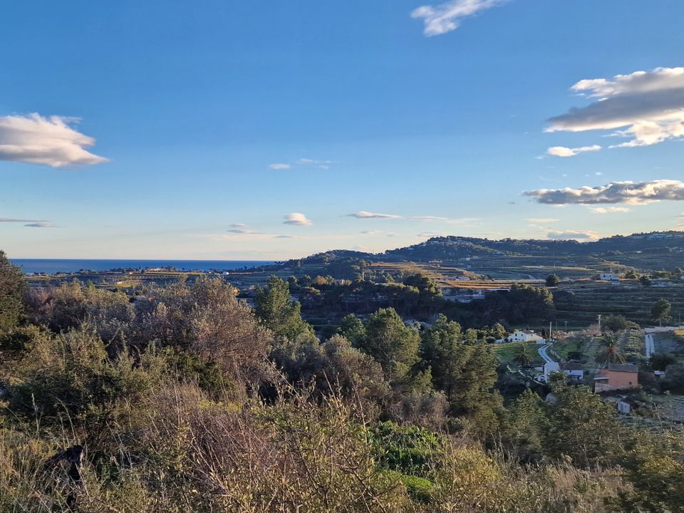 Helårsgrund i Teulada, Alicante - foto 4
