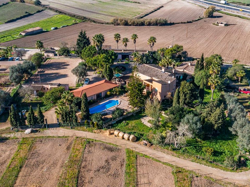 Finca i Montuiri, Mallorca - foto 2