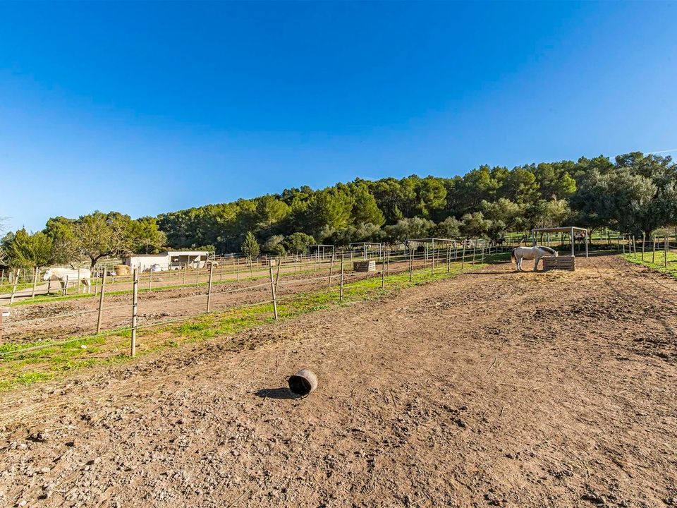 Finca i Montuiri, Mallorca - foto 4