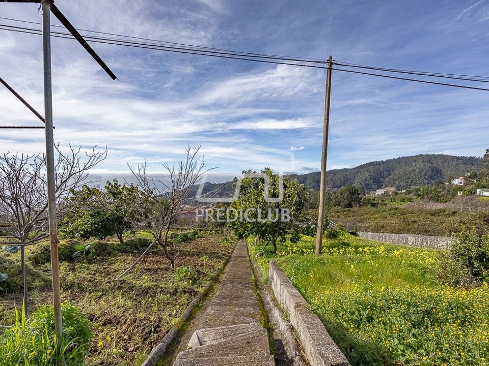 Villa i Camara de Lobos, Madeira - foto 5