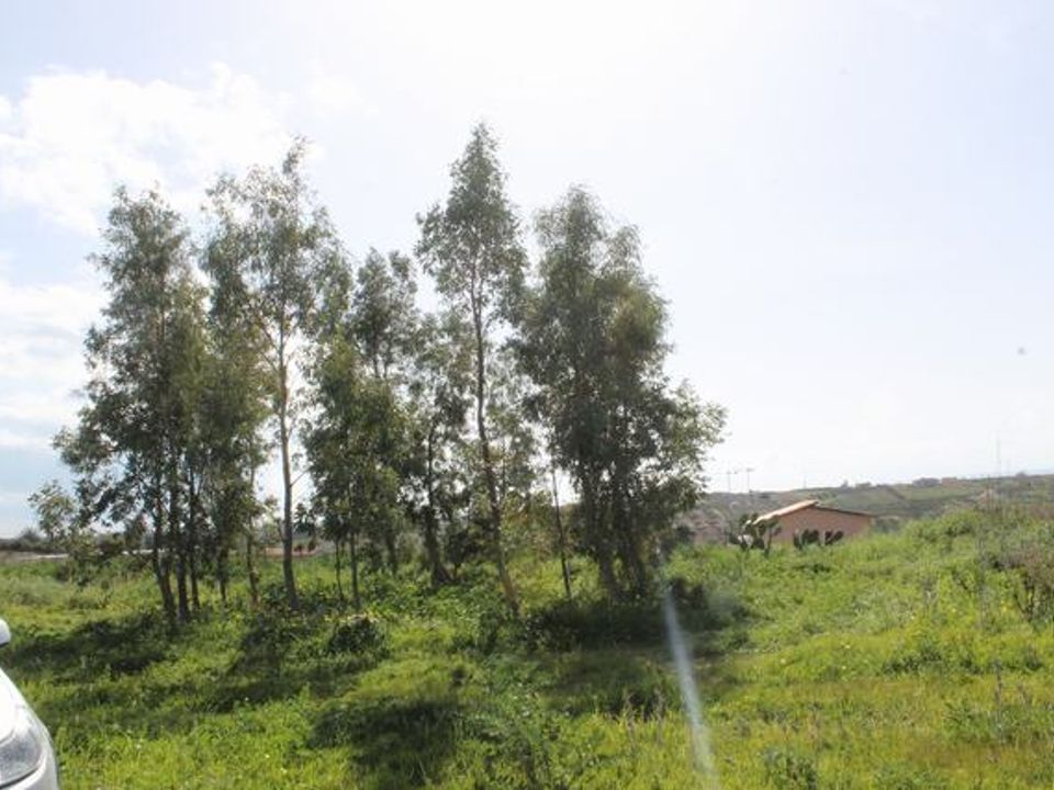 Terra a Siculiana, Agrigento - foto 3