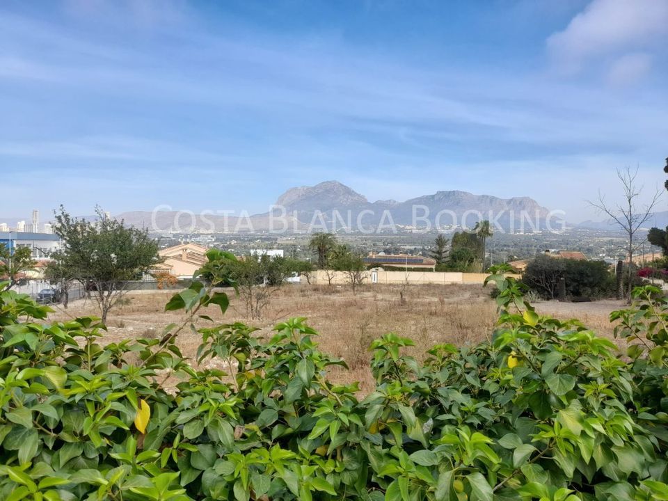 Helårsgrund i Benidorm, Alicante - foto 3