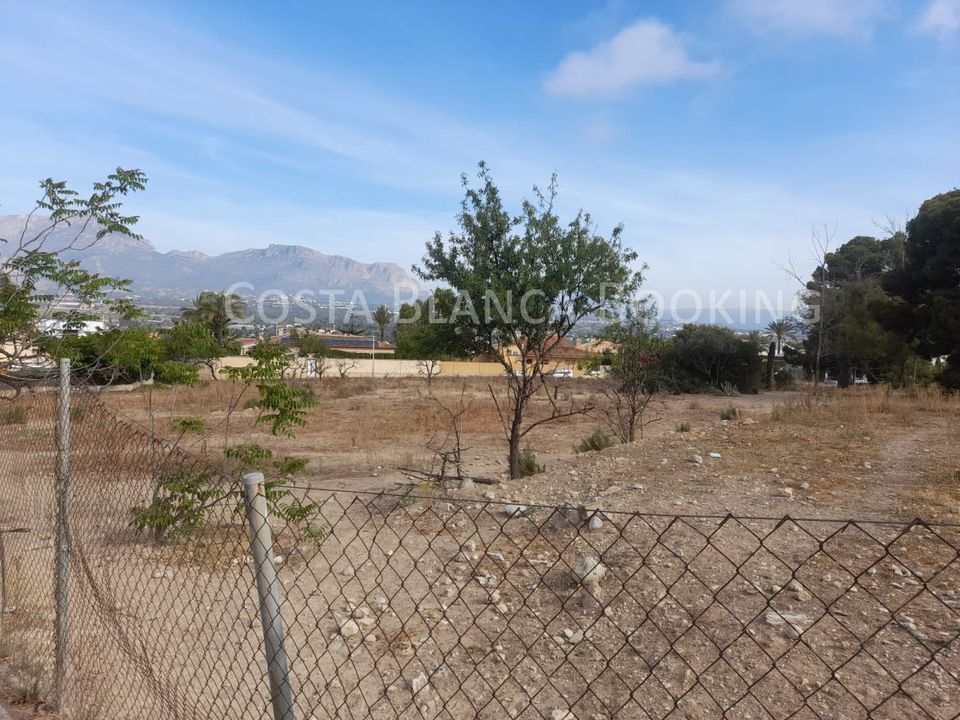 Helårsgrund i Benidorm, Alicante - foto 4