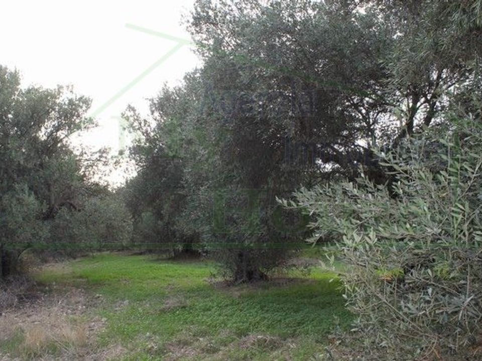 Masia a Realmonte, Agrigento - foto 3