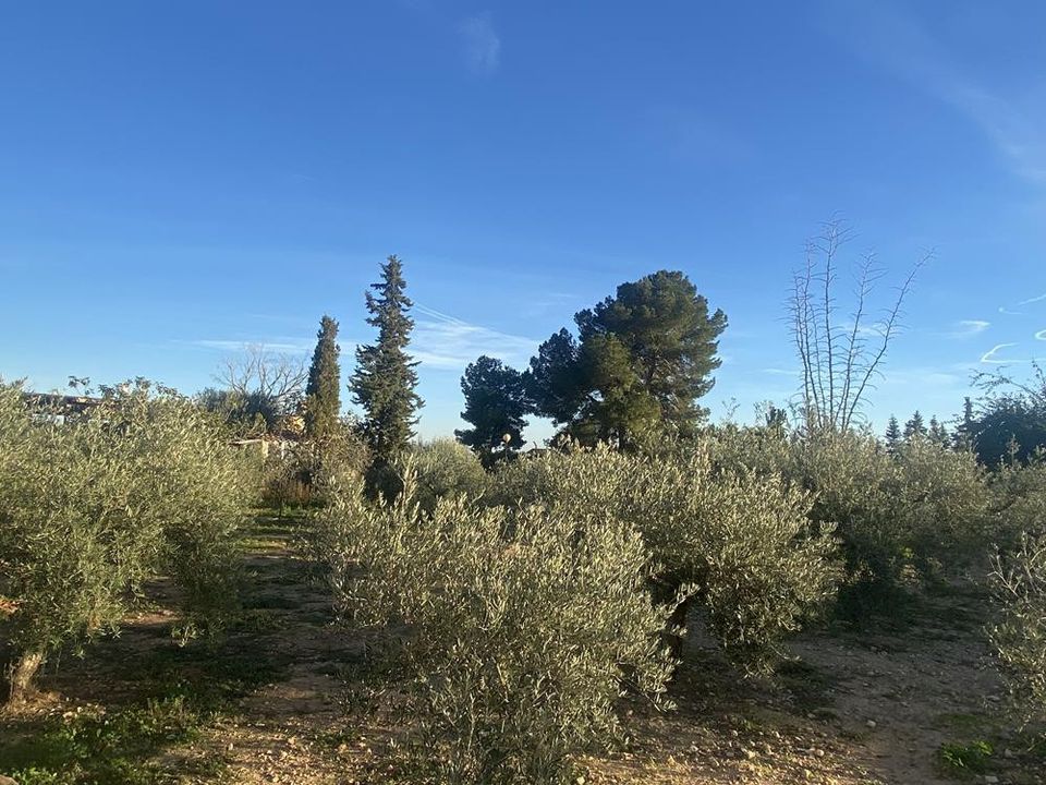 Villa i Murcia, Murcia - foto 2