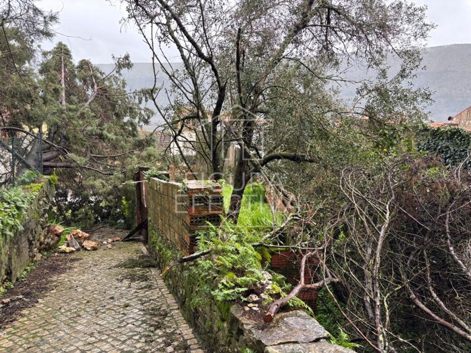 Ruinere i Mira de Aire, Leiria - foto 4