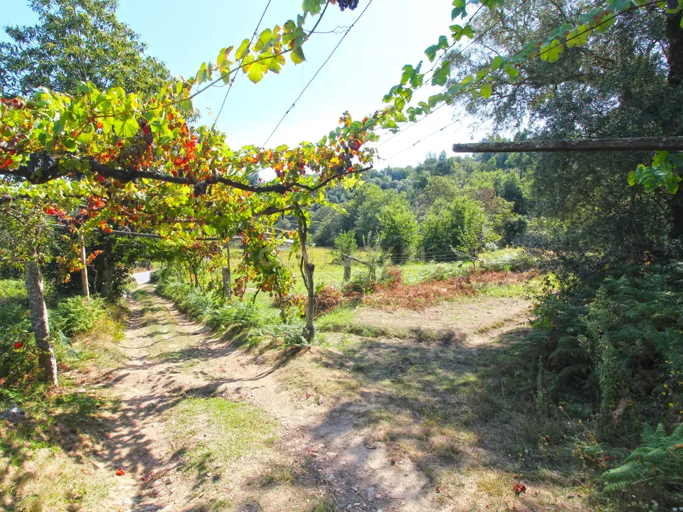 Villa i Ponte de Lima, Viana do Castelo - foto 5