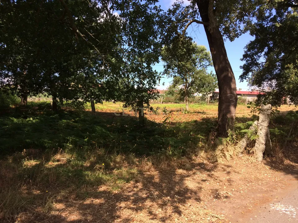 Helårsgrund i Valenca, Viana do Castelo - foto 1