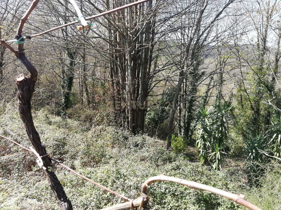 Helårsgrund i Valenca, Viana do Castelo - foto 2