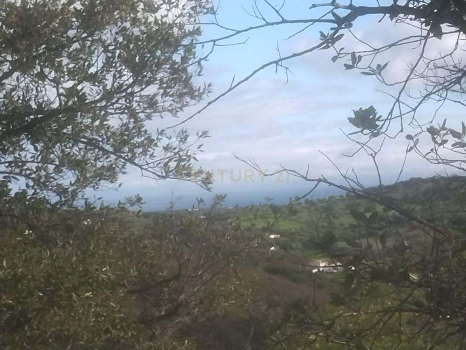 Helårsgrund i Tavira, Faro - foto 5