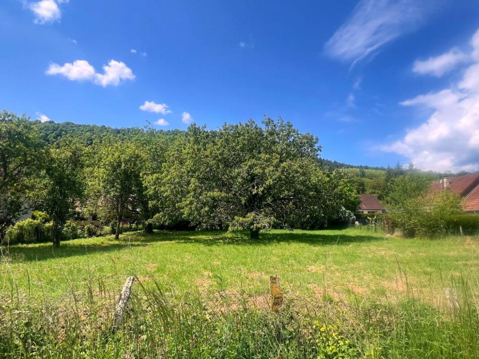 Tomt i Ornans, Doubs - bilde 2