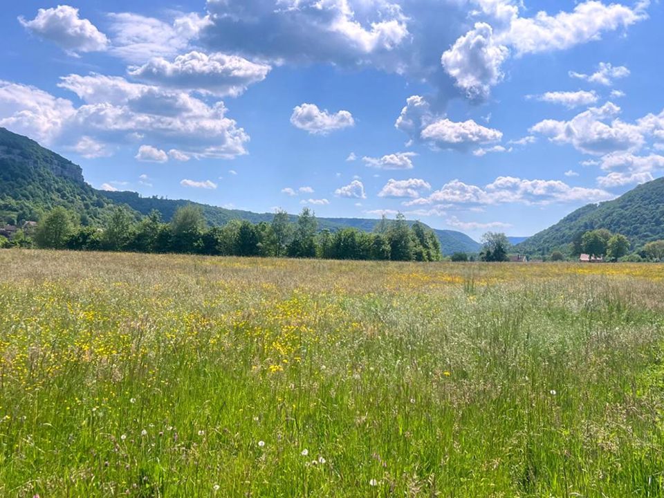 Tomt i Ornans, Doubs - bilde 3
