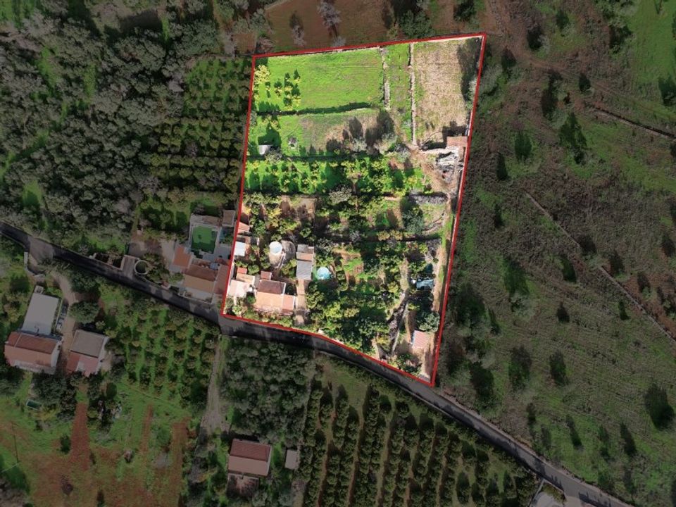 Farm i Silves, Faro - foto 2