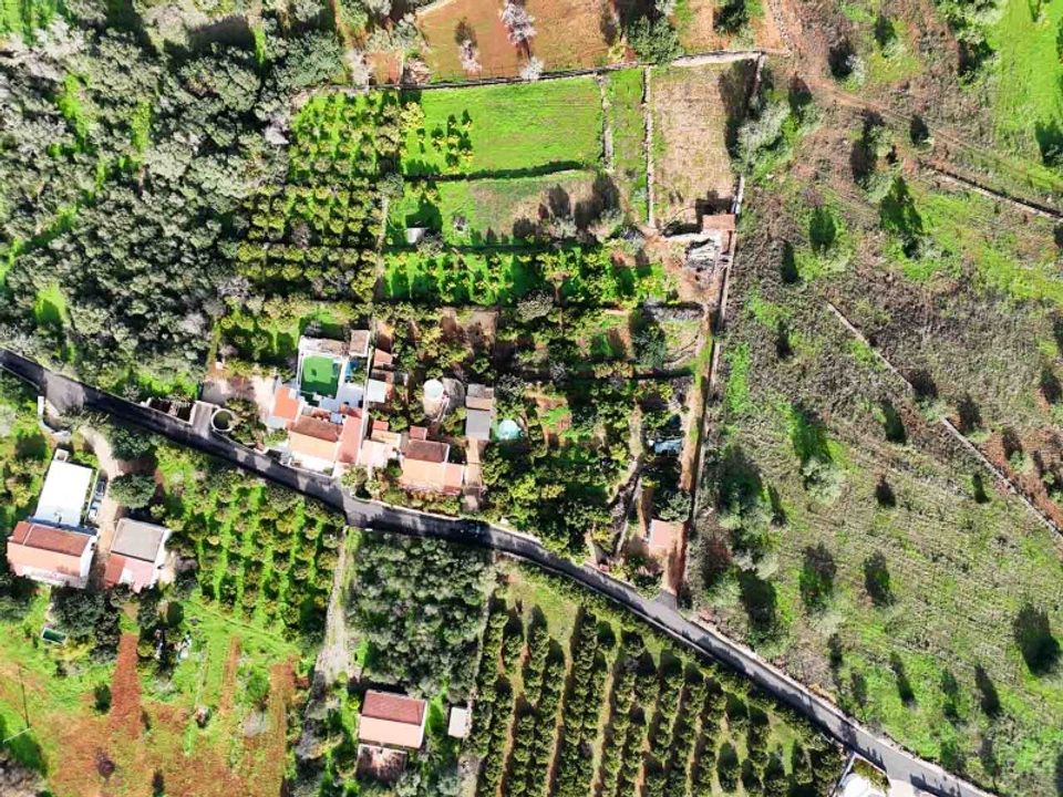 Farm i Silves, Faro - foto 3