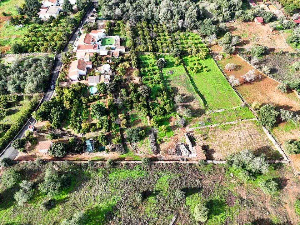 Farm i Silves, Faro - foto 5