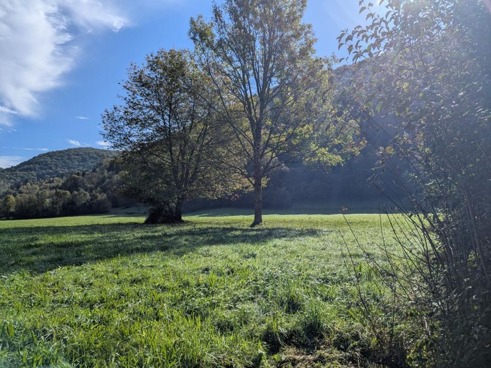 Villa i Nescus, Ariege - foto 4