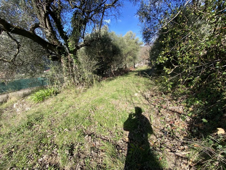 Terra a Drap, Alpes-Maritimes - foto 4