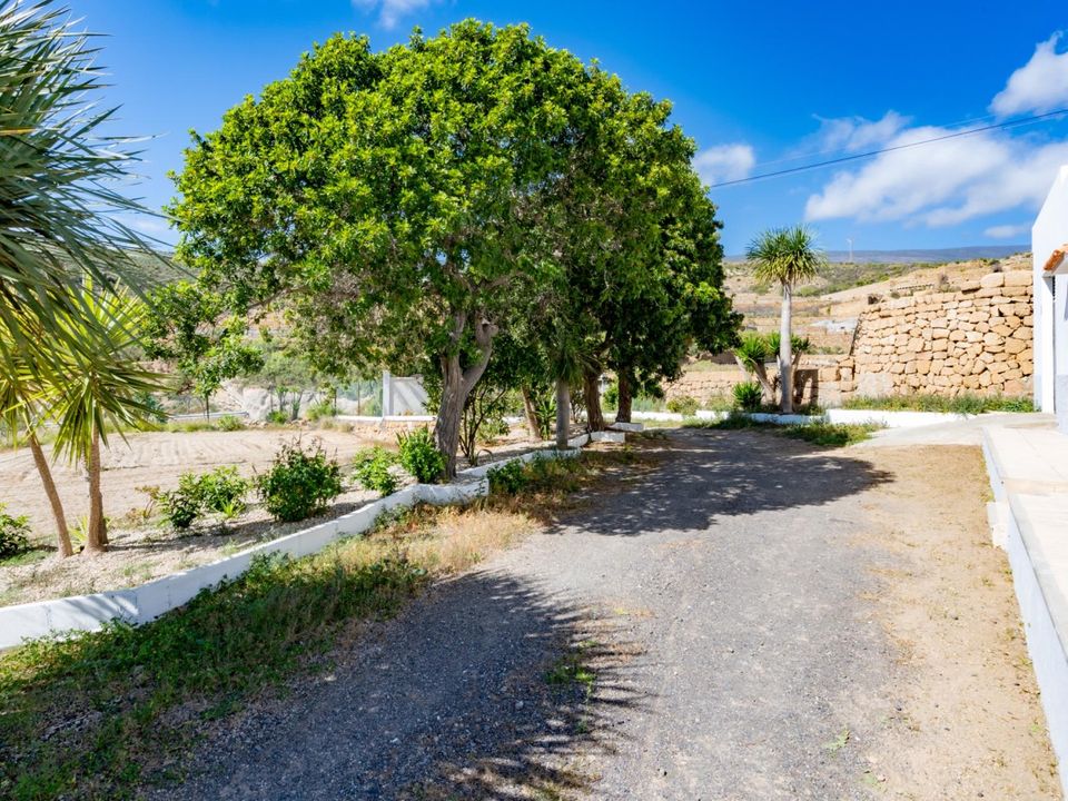 Landejendom i Arico, Tenerife - foto 4