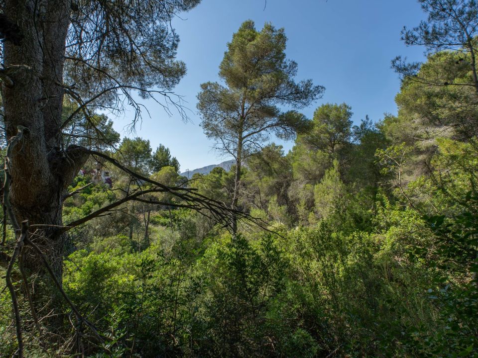 Tomt i Javea, Alicante - bilde 2
