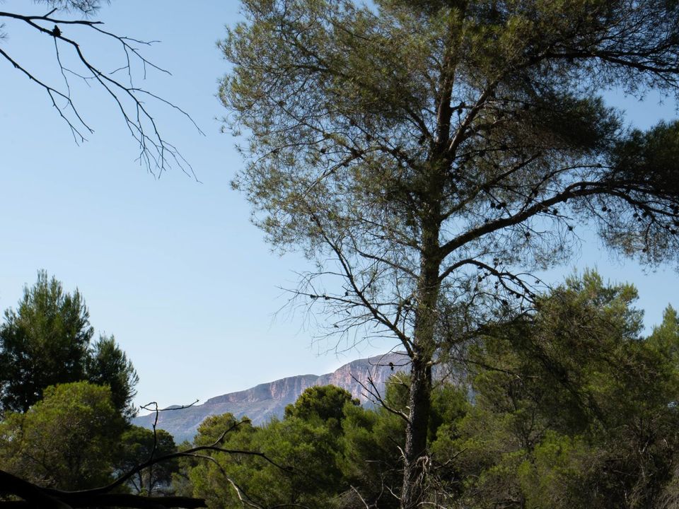 Tomt i Javea, Alicante - bilde 3