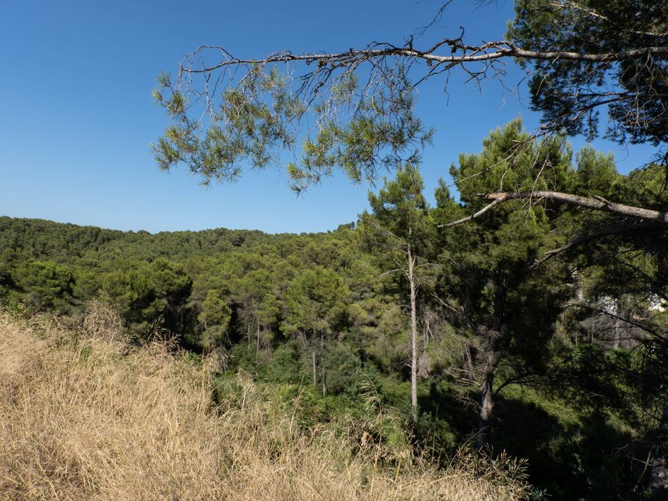 Tomt i Javea, Alicante - bilde 5